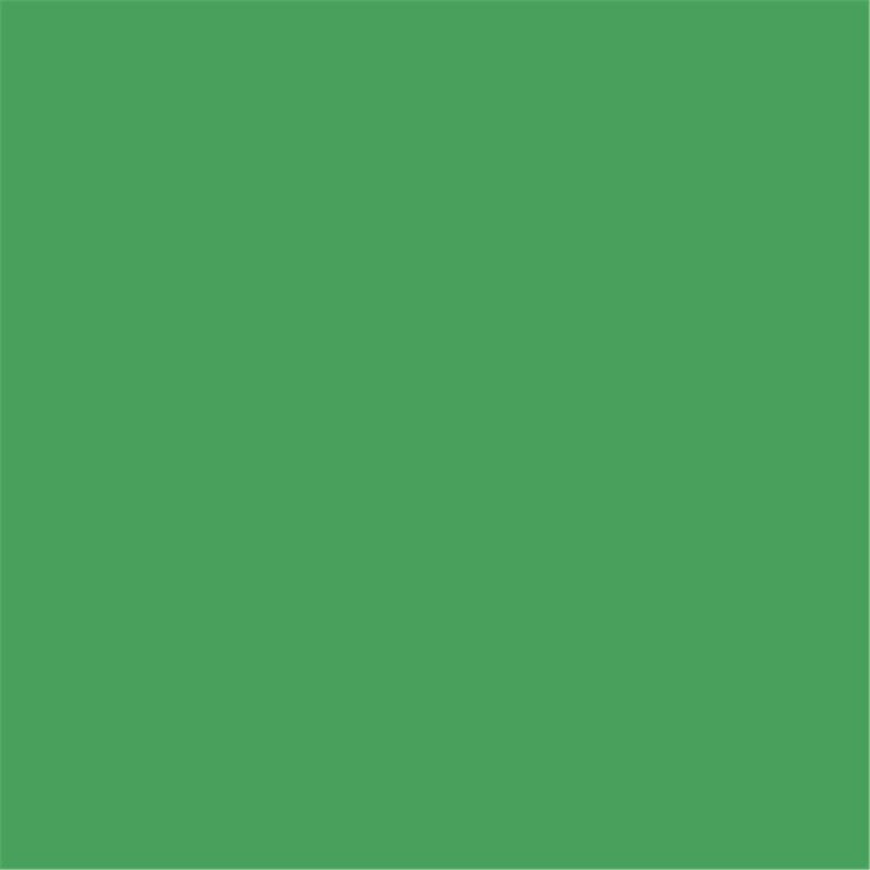 Colorama Fond Chromagreen 2,72 X 11m