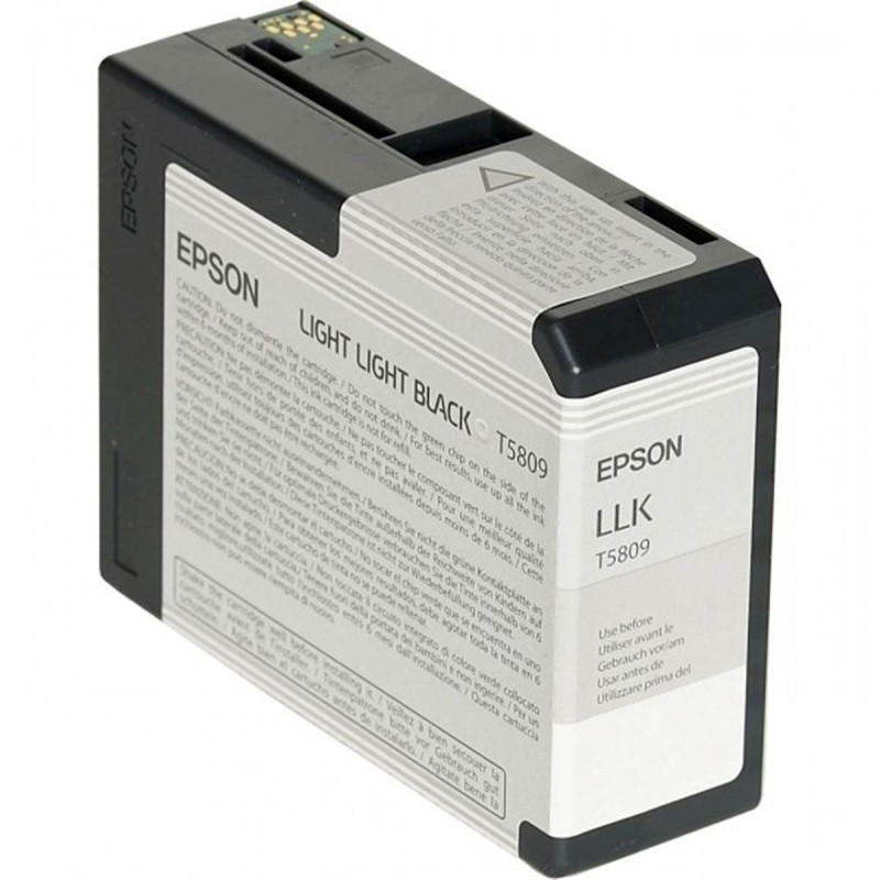 Epson Encre Gris Clair T5809 (3800/3880)