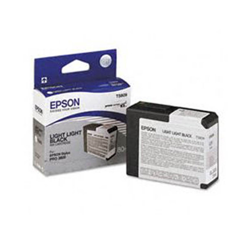 Epson Encre Gris Clair T5809 (3800/3880)
