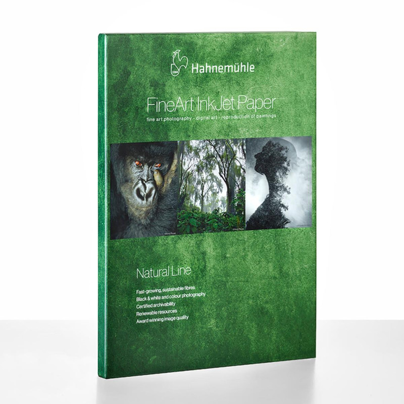 Hahnemühle Bamboo 290g  A2 25F