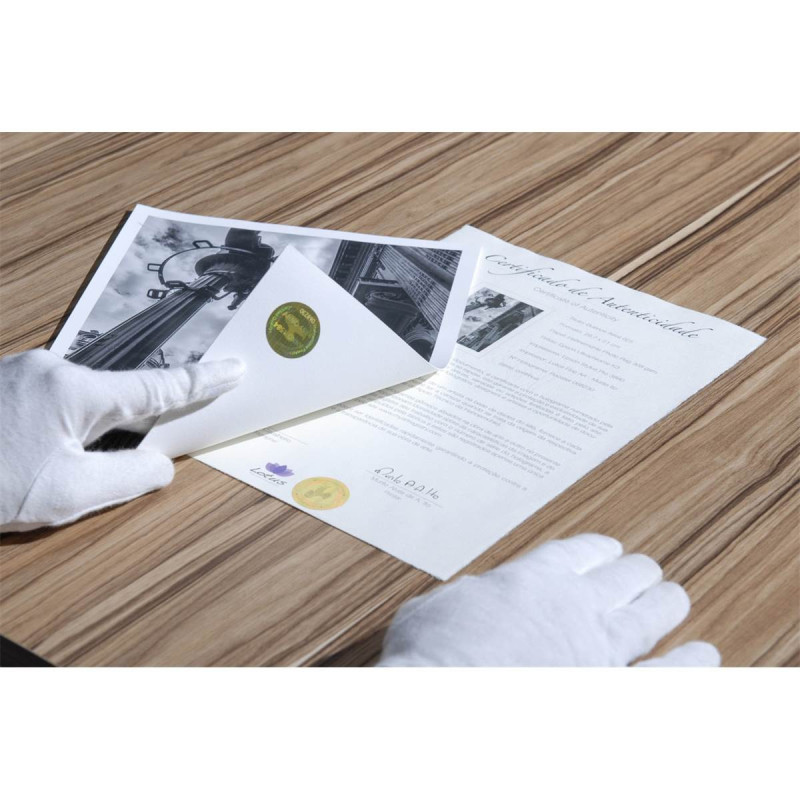 Hahnemühle Certificats d’authenticité avec hologrammes A4 25F