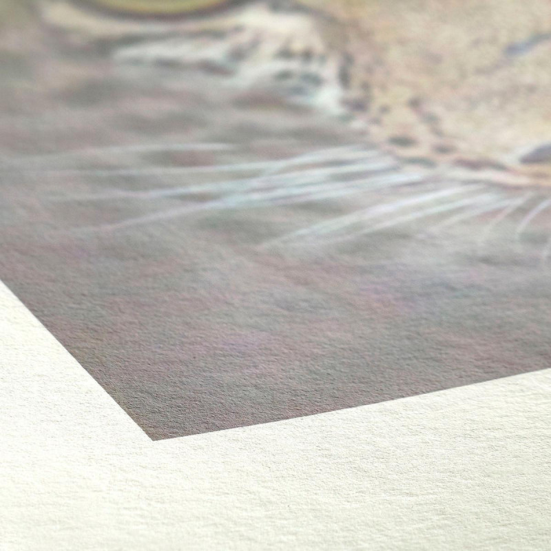 Hahnemühle Bamboo 290g Rouleau 24\" 12m