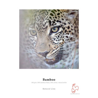 Hahnemühle Bamboo 290g Rouleau 17\" 12m