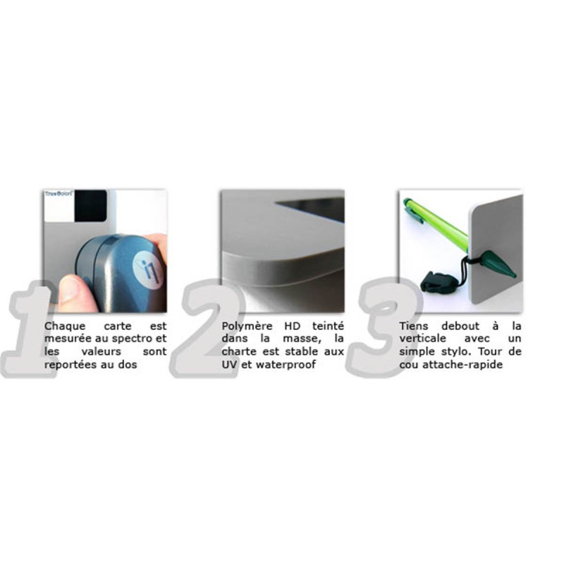 Scuadra Charte TrueColors Small