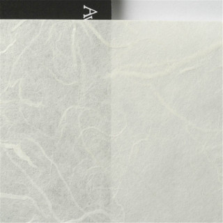 Awagami Papier Unryu Thin 55g A4 20F