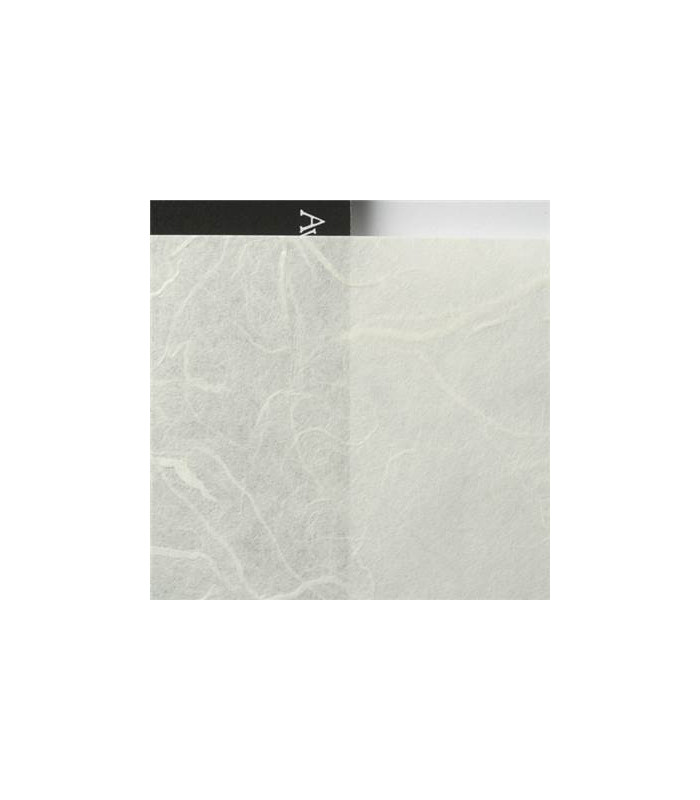 Awagami Papier Unryu Thin 55g A4 20F