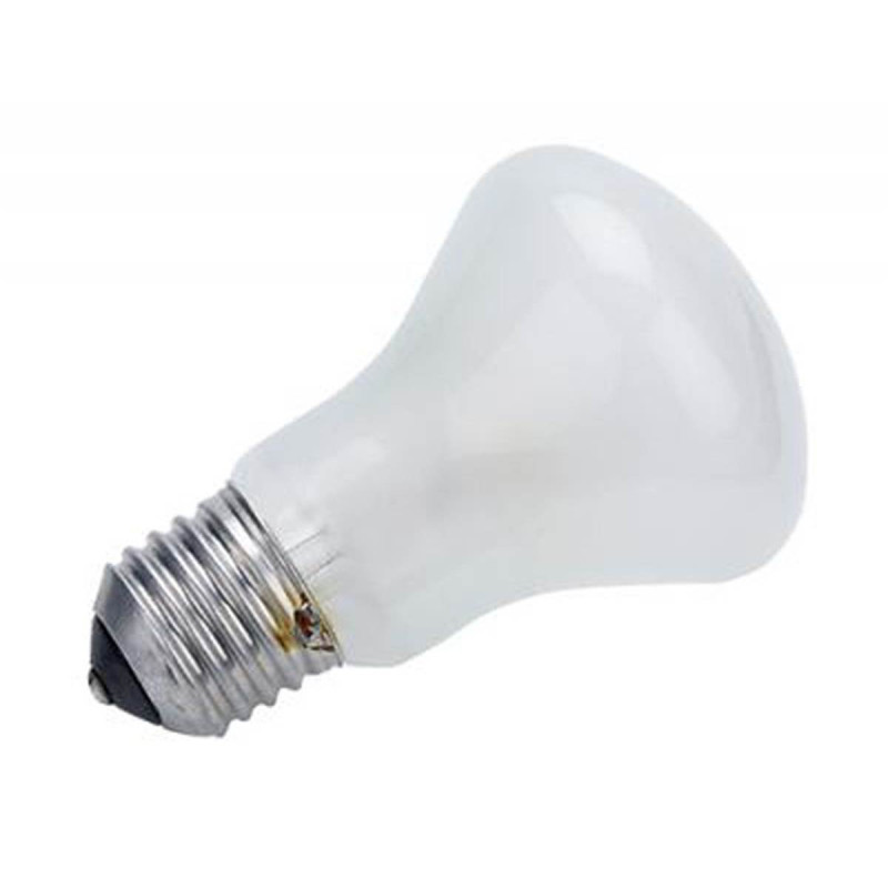 Lampe pilote Elinchrom 100W 196V E27