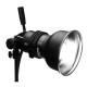 Profoto Torche Prohead Plus 250W + Standard Zoom