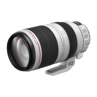 Canon Objectif EF 100-400mm f/4.5-5.6L IS II USM