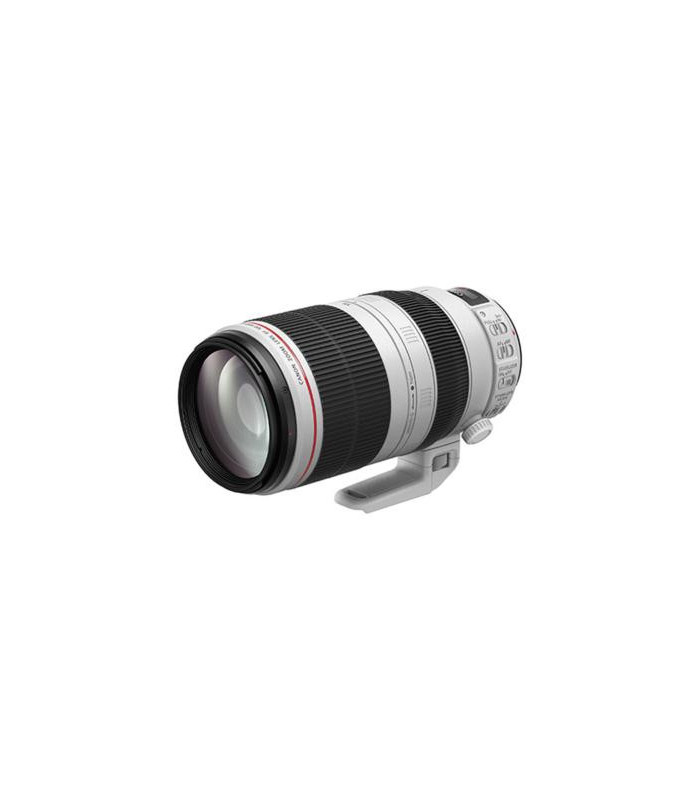Canon Objectif EF 100-400mm f/4.5-5.6L IS II USM