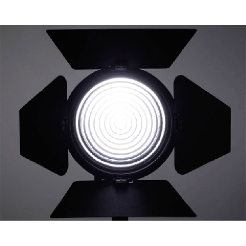 Fiilex Kit de Conversion P2Q pour P360EX/P360