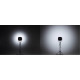 Elinchrom Spot Fresnel FS30