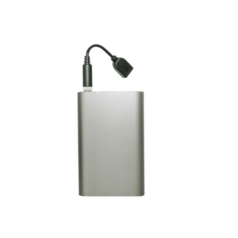 Pixel Batterie TD-386 Lithium pour Flash Sony