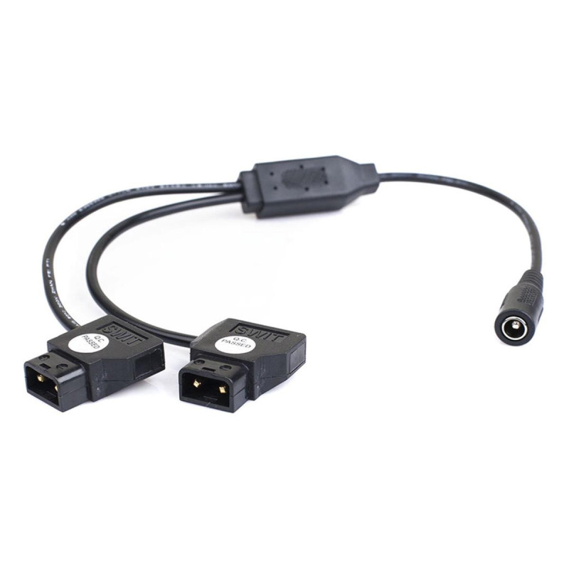 Swit Chargeur Rapide Double D-Tap