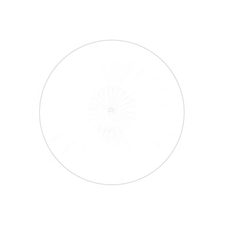 Briese Diffuseur pour Focus 111 n°III