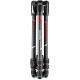Manfrotto Kit Trépied Befree Advanced Carbone noir avec Rotule 494