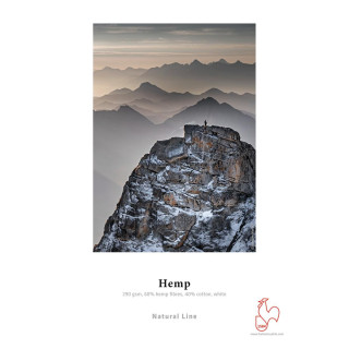 Hahnemühle Hemp 290g Rouleau 24\" 12m