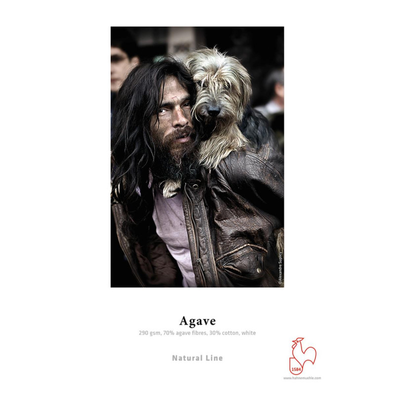 Hahnemühle Agave 290g  A3 25F