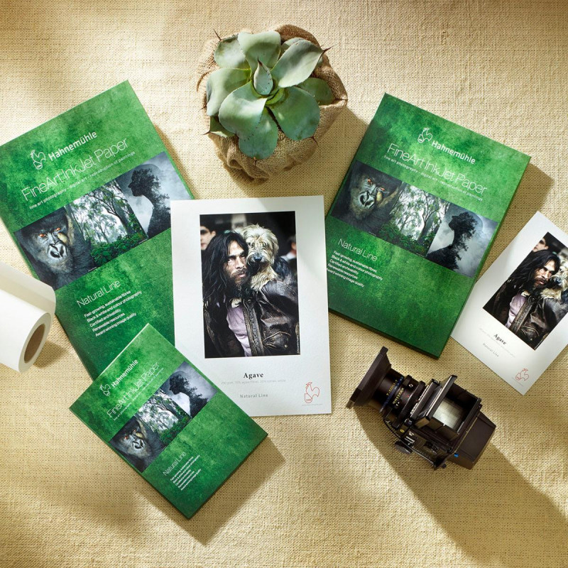 Hahnemühle Agave 290g Rouleau 44\" 12m