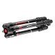 Manfrotto Kit Trépied Befree GT XPRO Carbone avec Rotule 496