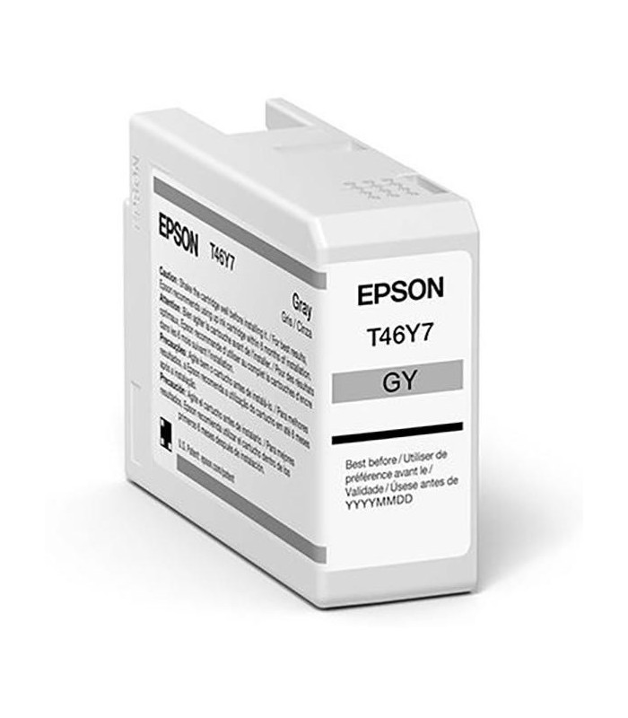 Epson Encre Gris Ultrachrome Pro 10 pour SC-P900