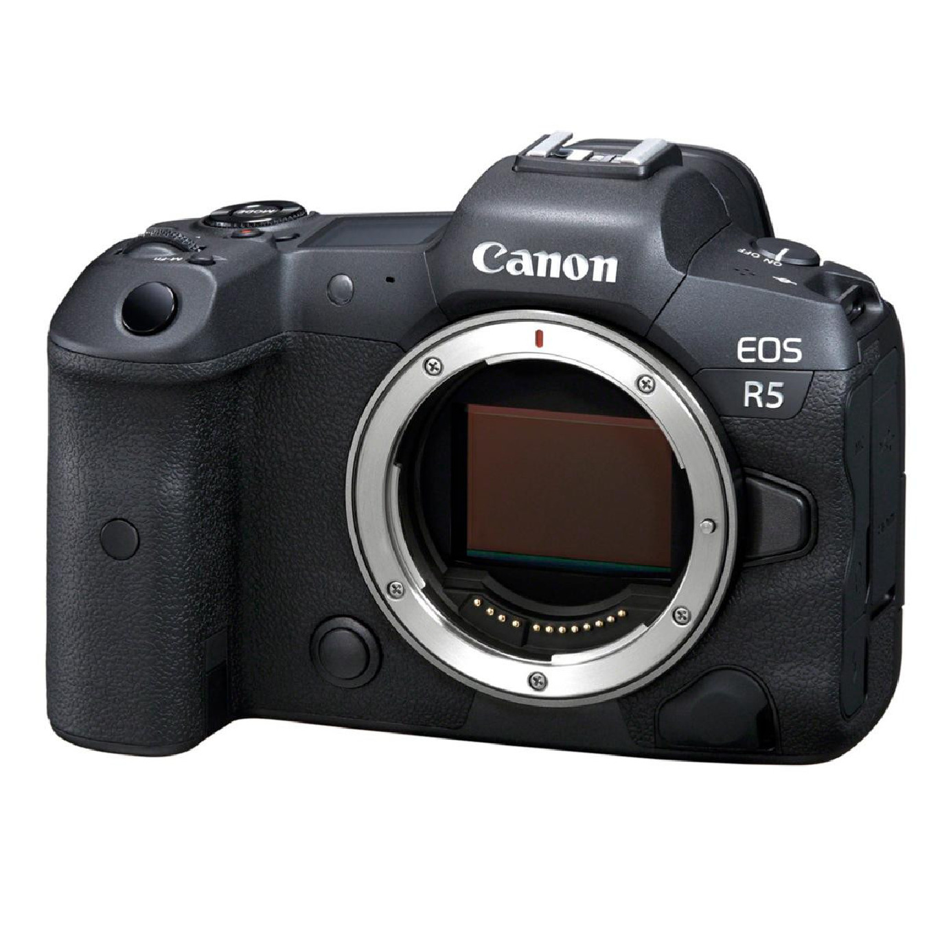 Canon EOS R5 - nu - Prophot