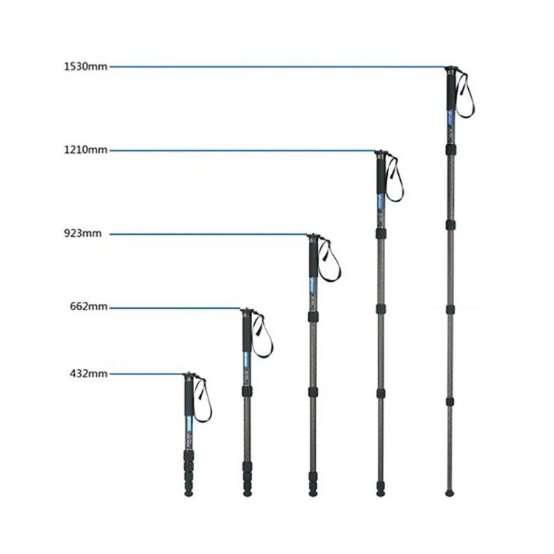 Leofoto Monopode SC-285C Carbone 4 sections
