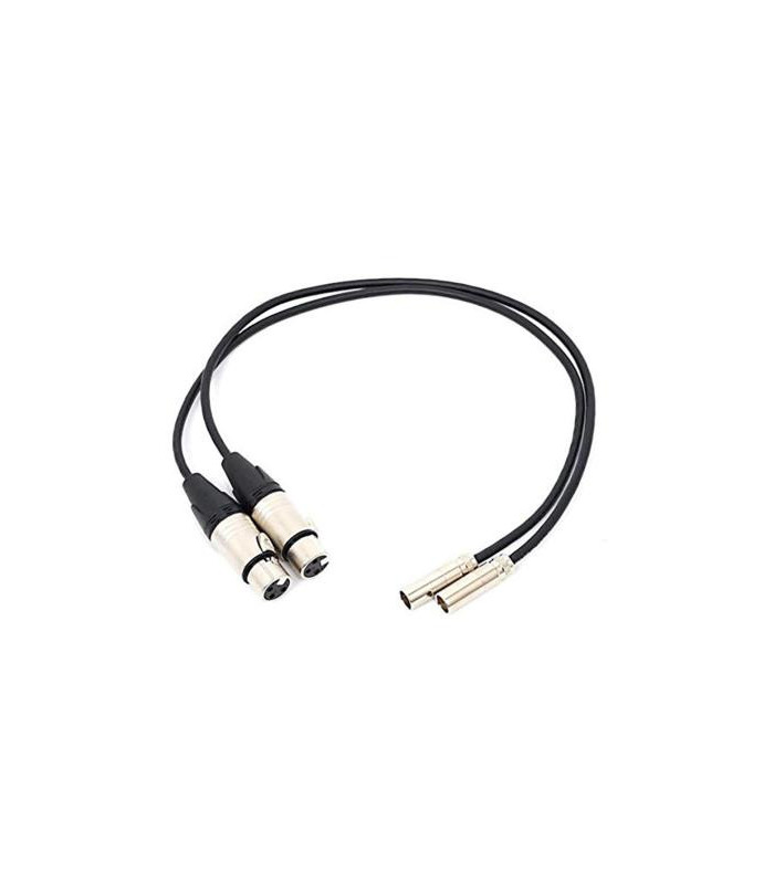 Blackmagic Câbles Mini XLR vers XLR pour Video Assist 4K