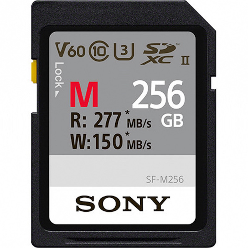 Sony Carte Mémoire SD Série M Tough 256GB UHS- ll