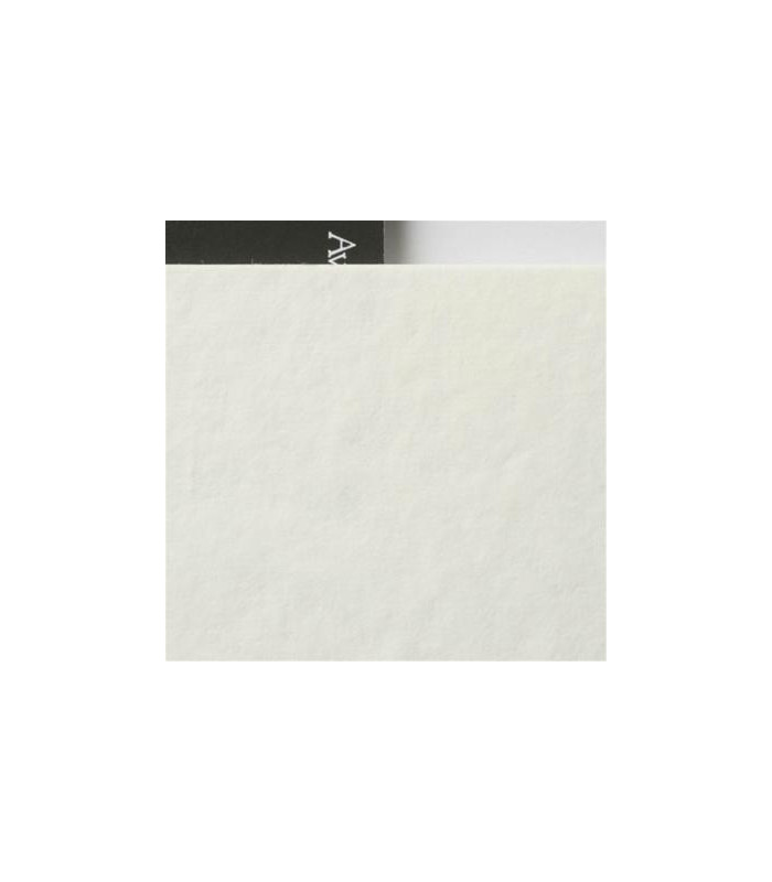 Awagami Papier Bizan Medium Blanc Naturel  200g A3+ 5f