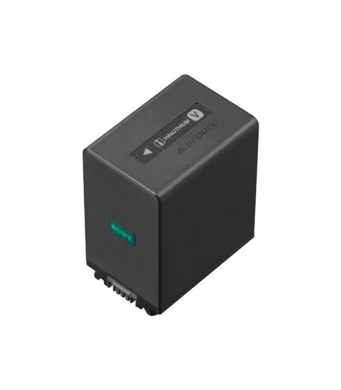 Sony Batterie NP-FV100A