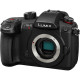 Panasonic Lumix GH5 II noir nu