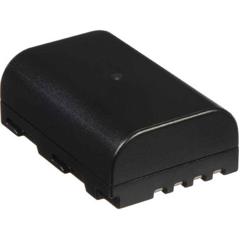 Panasonic Batterie DMW-BLF19 pour série GH3/GH4/GH5 et G9