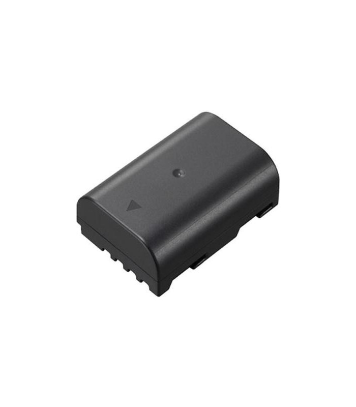 Panasonic Batterie DMW-BLF19 pour série GH3/GH4/GH5 et G9