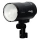 Profoto Torche B10X 250 To Go