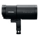 Profoto Torche B10X Plus 500