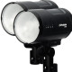 Profoto Kit Duo Torches B10X 250