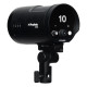 Profoto Kit Duo Torches B10X 250