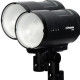 Profoto Kit Duo Torches B10X 250