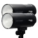 Profoto Kit Duo Torches B10X Plus 500