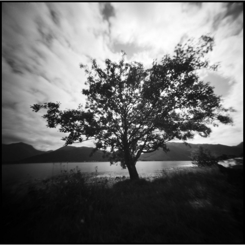 Kodak T-MAX 100 120 x5