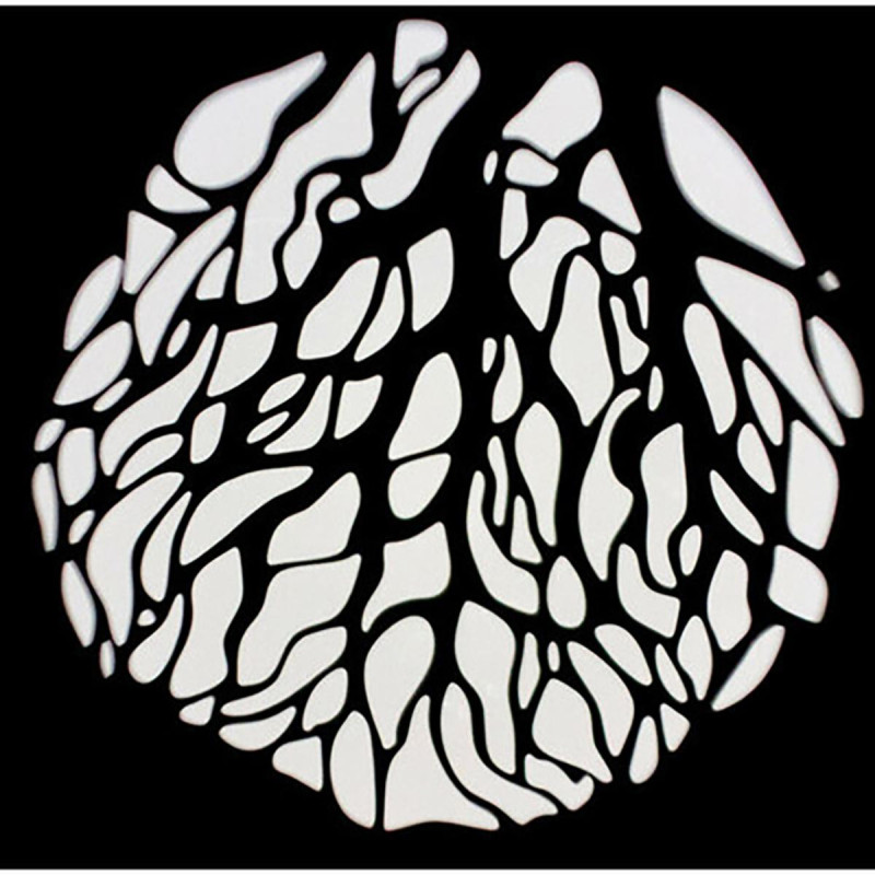 Nanlite Decoupe 19° pour Monture Forza S