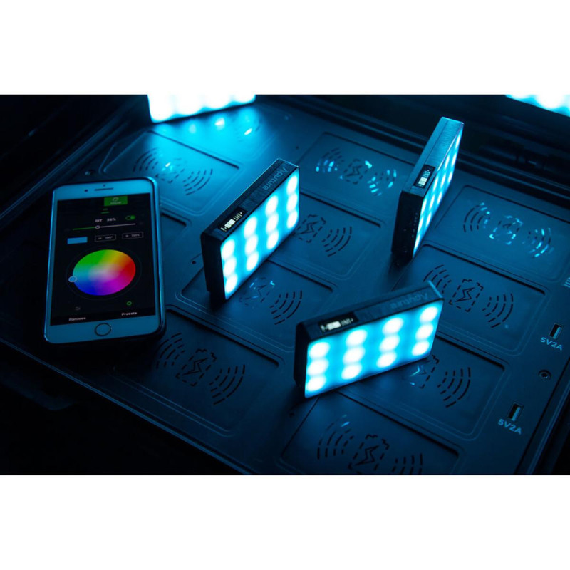 Aputure Kit de 12 Minettes MC avec Valise