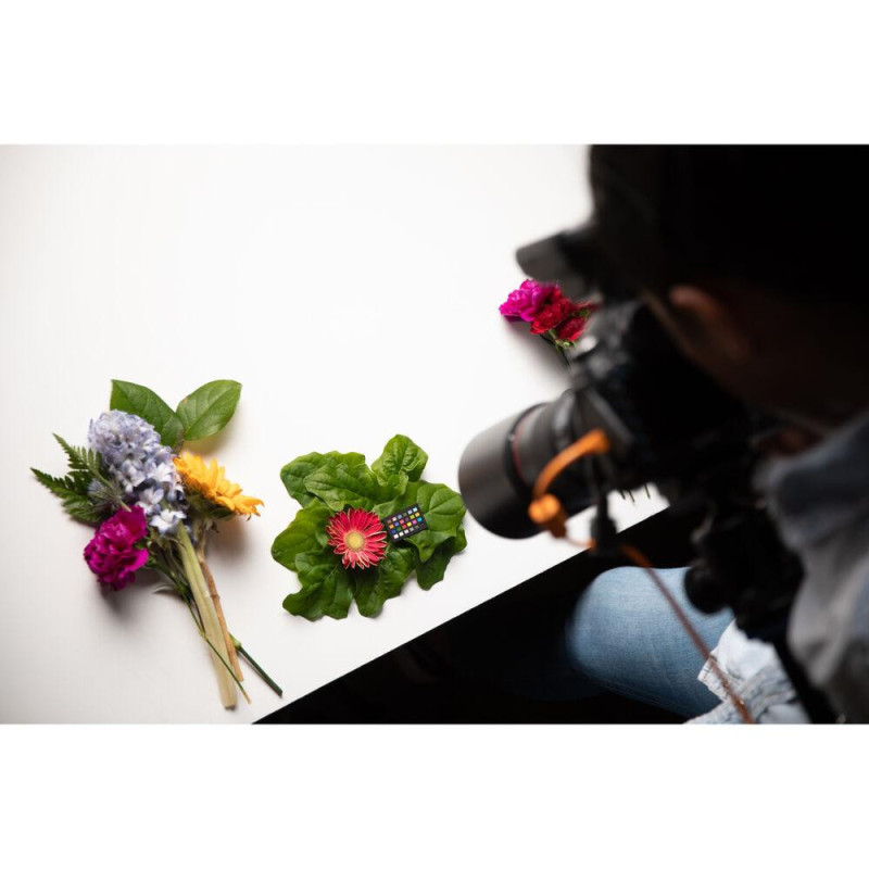 Calibrite Charte Color Checker Classic Nano