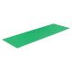 Manfrotto Bande de sol Chroma Key vert en vinyle 1,37x4m