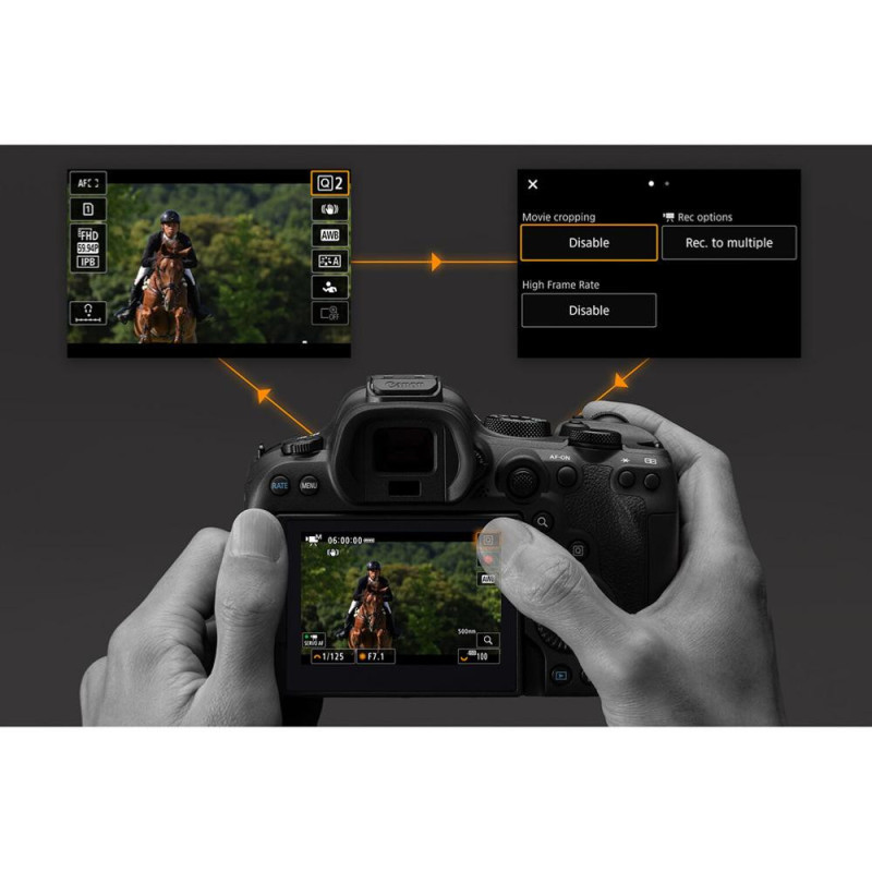 Canon EOS R6 Mark II-  Nu 