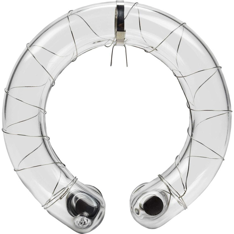 Profoto Tube Flash Haute Capacité D2 500/1000