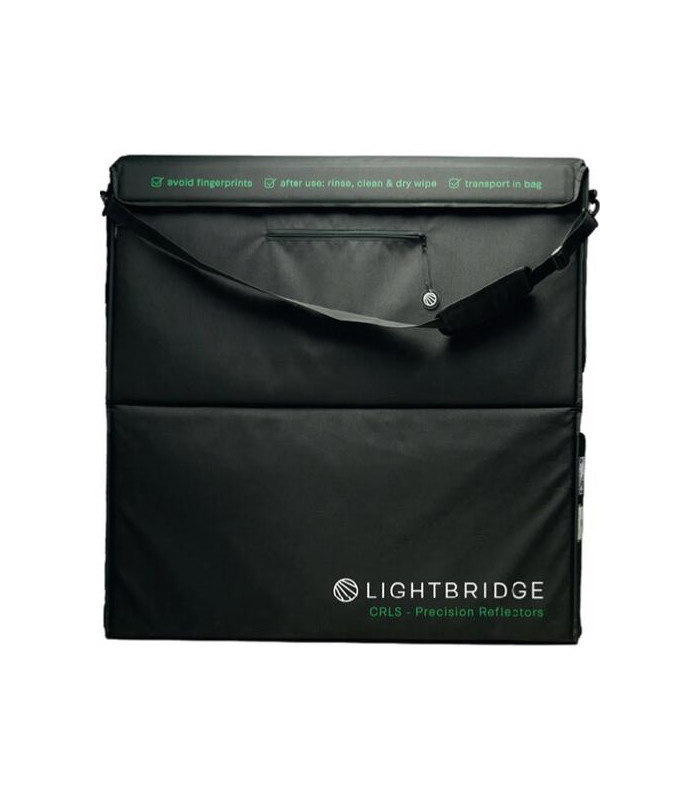 The Light Bridge  Speedbag C-100