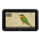 Atomos Moniteur Shinobi II 5" - Atomos - Prophot