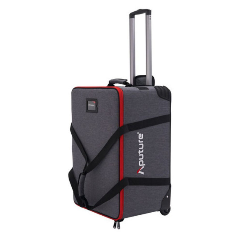 Aputure Torche LS 600C Pro II V-Mount - Aputure - Prophot